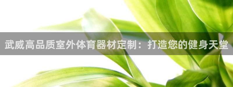 苏州极悦信息科技有限公司