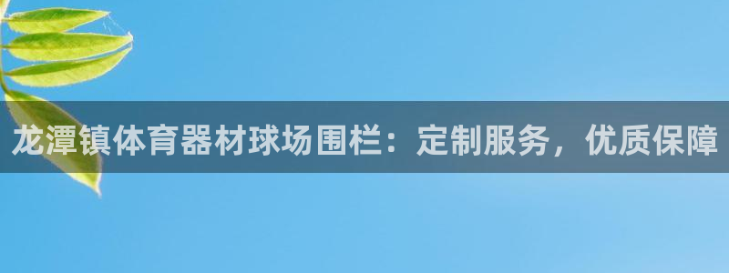 极悦官网入口登录网址