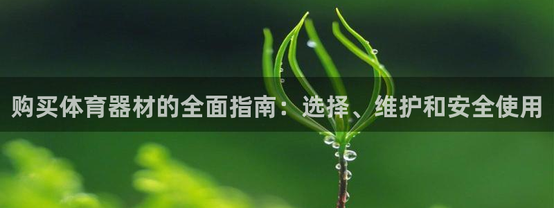 极悦平台代理怎么做的