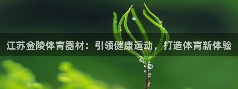 极悦娱乐公司最新招聘信息网：江苏金陵体育器材：引领健