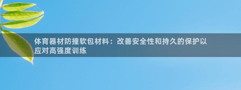 极悦生活家是什么平台：体育器材防撞软包材料：改善安全