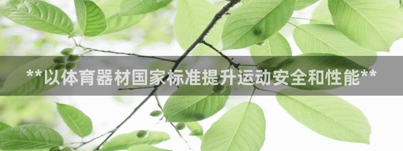 极悦平台登录入口注册不了：**以体育器材国家标准提升