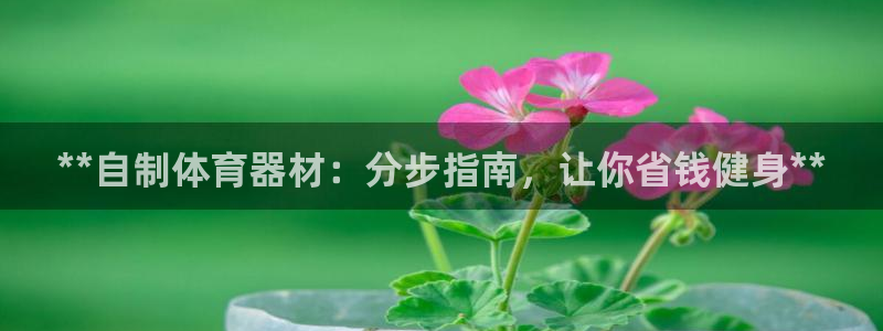 极悦平台注册登录不了