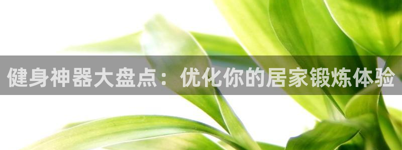 极悦娱乐的最新版本更新内容