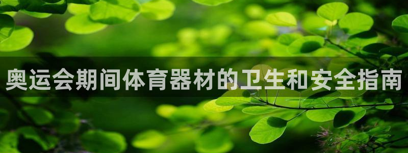 深圳极悦文化传媒有限公司