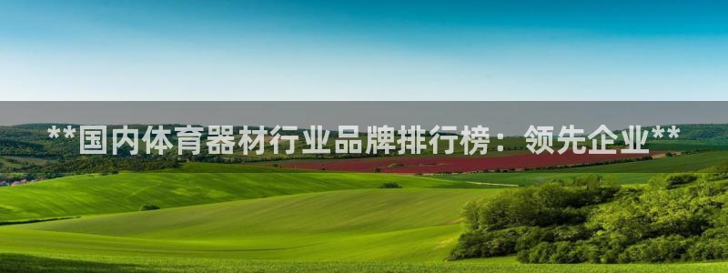 极悦平台官网登录网址是什么：**国内体育器材行业品牌排行榜：