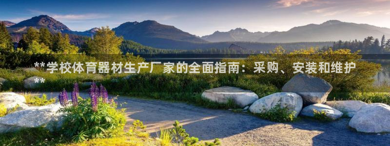 苏州极悦信息科技有限公司:**学校体育器材生产厂家的全面指南