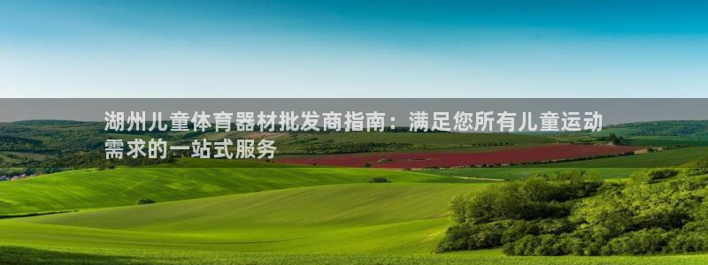 极悦平台注册用户名格式:湖州儿童体育器材批发商指南:满足您所