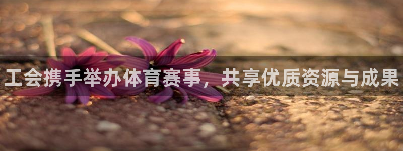 极悦平台代理怎么赚钱:工会携手举办体育赛事,共享优质资源与成
